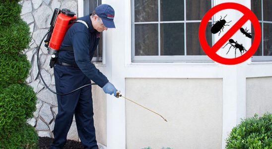 Kemalpaşa Gümüşkurt İlaçlama böcek ilaçlama ve haşere kontrolü — ilaclama-tr.com